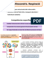 Tema8 Mitocondris - Respiració