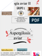 Grupo 1 - Aspergilosis