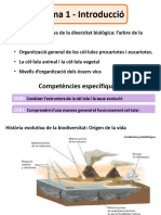 Tema1 Introducció