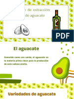 Presentación Aguacate Divertido Verde Blanco y Marron