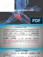 Section Bone and Cartilage