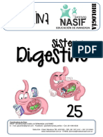 25 - Sistema Digestivo