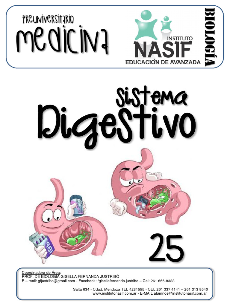 25 Sistema Digestivo Descargar Gratis Pdf Sistema Digestivo