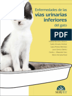 Enfermedades de Las Vias Urinarias Inferiores en El Gato