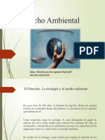 El Derecho Ambiental