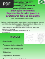 Defesa da tese reformulada