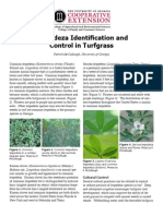 Lespedeza Identification and Control in Turfgrass: Patrick Mccullough, University of Georgia