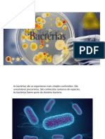 Bacterias de VDD