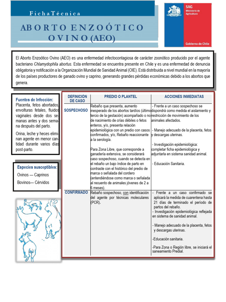 f-tecnica-aborto-enzoot-ov-v2-2019-0-pdf-oveja-parto