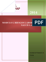 1 Riesgos Laborales y Salud Laboral