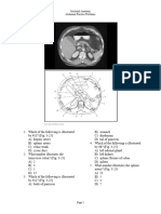 Abdomen Blank pp1