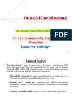 Head Neck Face-06 (Cranial Nerves)