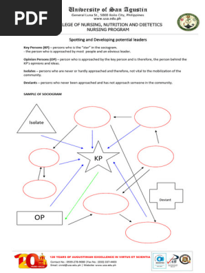 Sample-of-Sociogram
