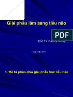 GPLS Tieu Nao Sau Dai Hoc Than Kinh 2019