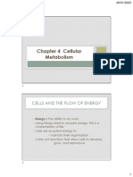 Handouts Chapter 4 Metabolism