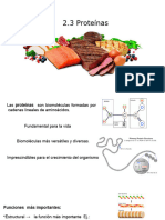 2.3. - Proteínas