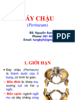 Éay Chau - Phuc Mac (2t)