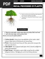 Grade 08 English Medium Science - Copy (53114