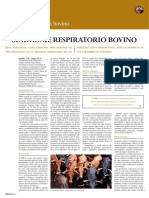 Síndrome Respiratorio Bovino: Retos Sanitarios en Bovino