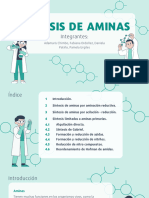 Síntesis de Aminas