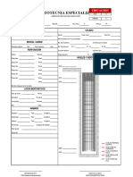 Formato de Liberación de Pilas.