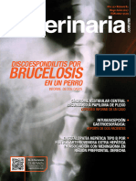 Brucelosis: Discoespondilitis Por en Un Perro