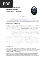 A construção do conhecimento SEGUNDO PIAGET 1