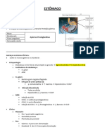 Gastro 1.2 - Estômago