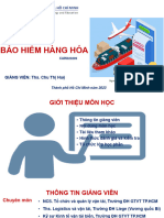 Bao Hiem Hang Hoa - Gioi Thieu