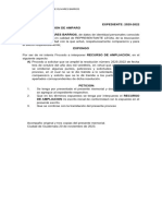 6. recurso de ampliacion