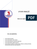 UYUM ANALİZİ Sunum, PDF