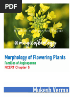 Botany Practical Record Book | PDF | Mitosis | Leaf