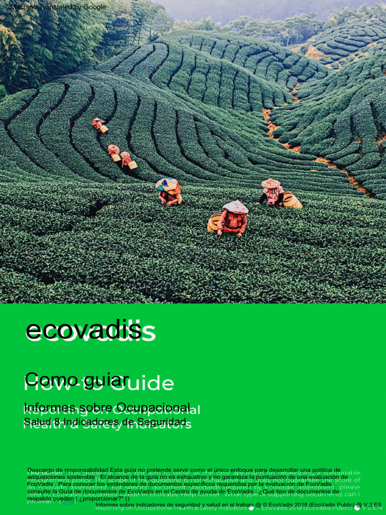 EcoVadis HowTo Guide Reporting On Occupational Health and Safety Indicators PDF Riesgo