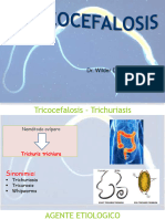 4tricocefalosis 2023 Parasito