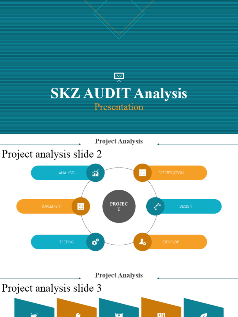 SKZ Project Audit Analysis Overview | PDF | Business