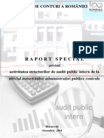 Raport_special_Audit_Intern