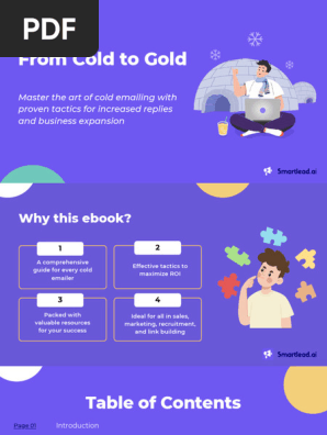 64bf055a20eabc7f1d348ee9_Cold Emailing Playbook (2)