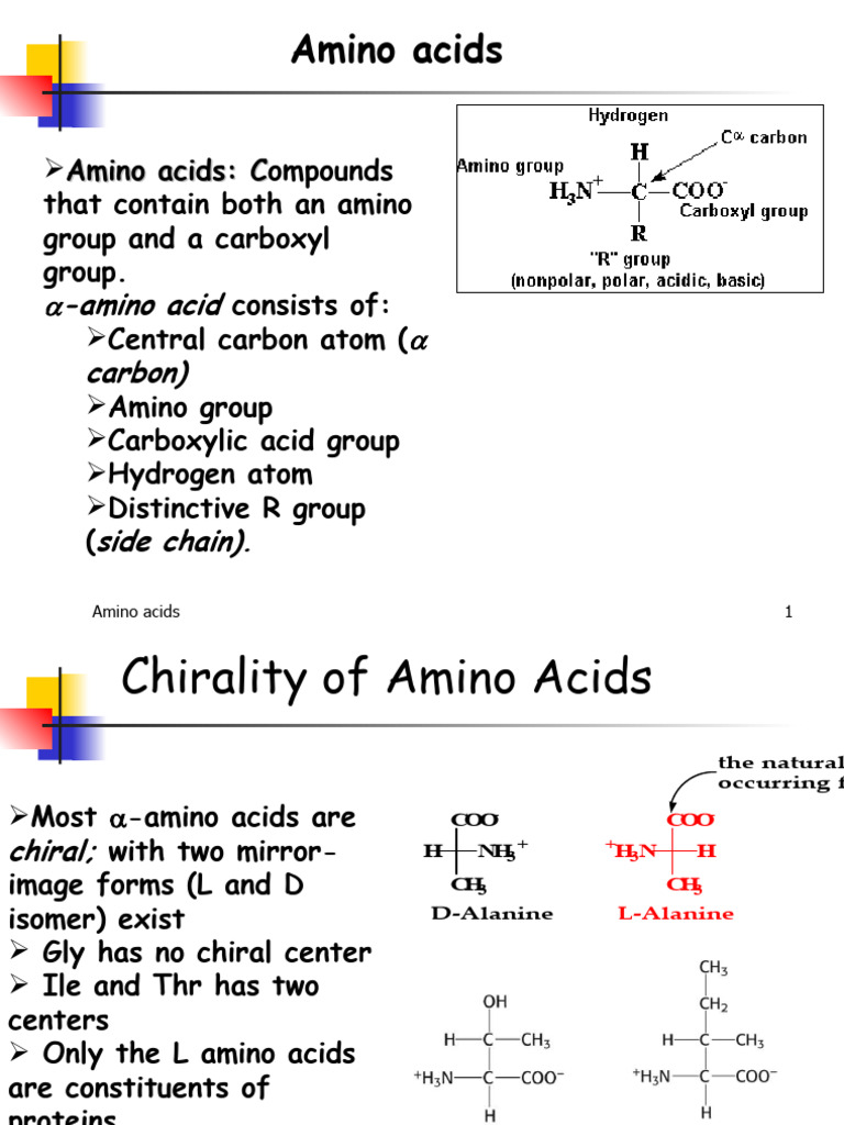 Amino Acids | PDF