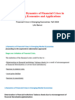 Chapter 7 - Dynamics of Financial Crises in Emerging Economies and Applications