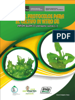 Delgado-Manual Protocolos Cultivo in Vitro Piñón Blanco