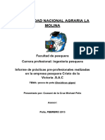 Informe de Practica Pota