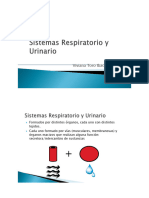 Clase Histologia de Los Sistemas Respiratorio y Urinario