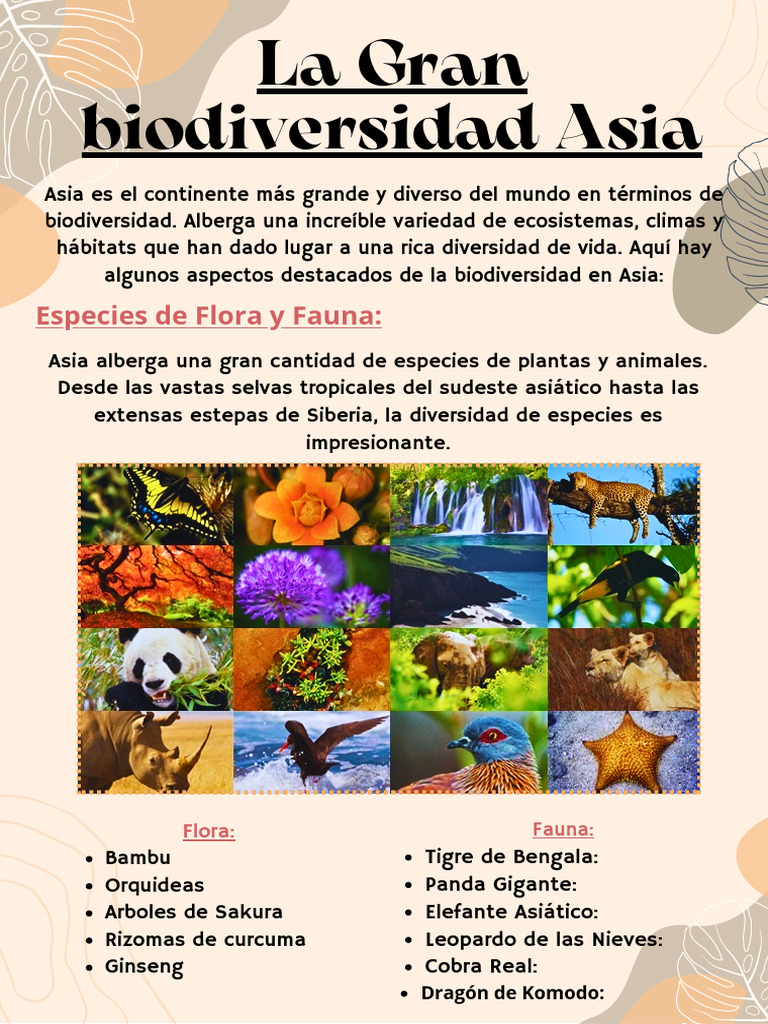 Biodiversidad y Flora de Asia | PDF