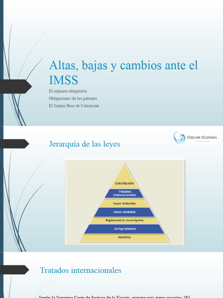 ABC IMSS y SBC PDF