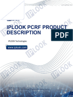 03-IPLOOK PCRF Product Description2022