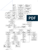 Pathway Pielonefritis