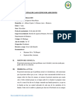 Informe Final Caso Alcoholismo - Rolin I.