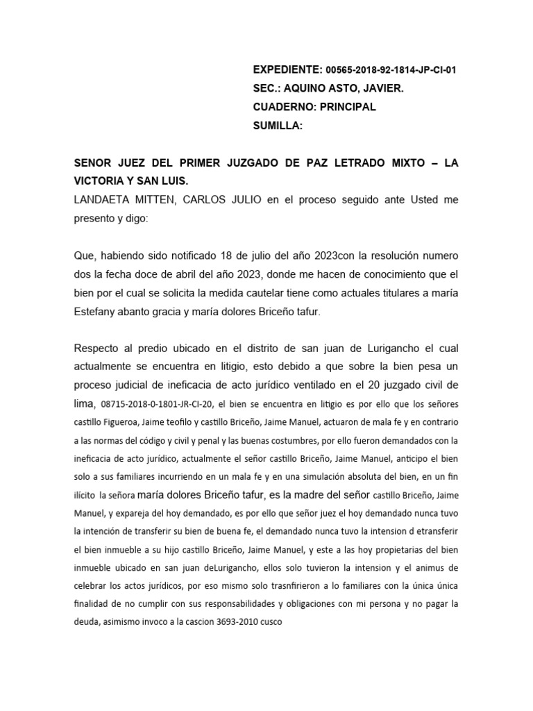landaeta (1) PDF Separación de poderes Gobierno