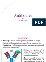 L1a Antibodies