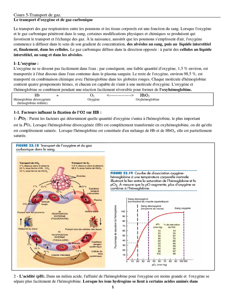 Transport des gaz dans le sang PDF Hémoglobine Sang — free download